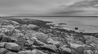 Tadoussac   |   39  /  42    |
